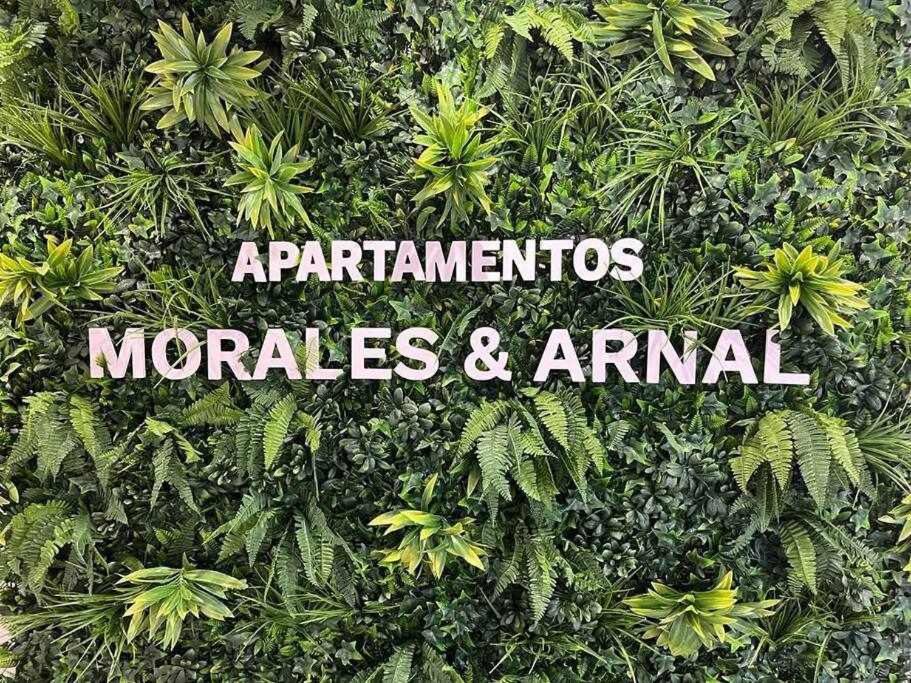 XVIII B Suite Apartamentos Morales & Arnal 龙达 外观 照片